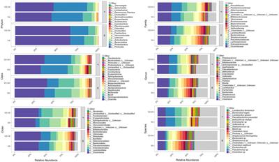 Cadaver Thanatomicrobiome Signatures: The Ubiquitous Nature of Clostridium Species in Human Decomposition